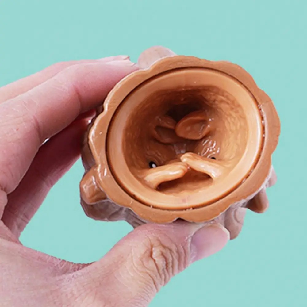 Pop Up ตลกเมาส์และชีสบล็อกบีบข - Photography Jokes บทวิจารณ์และราคา