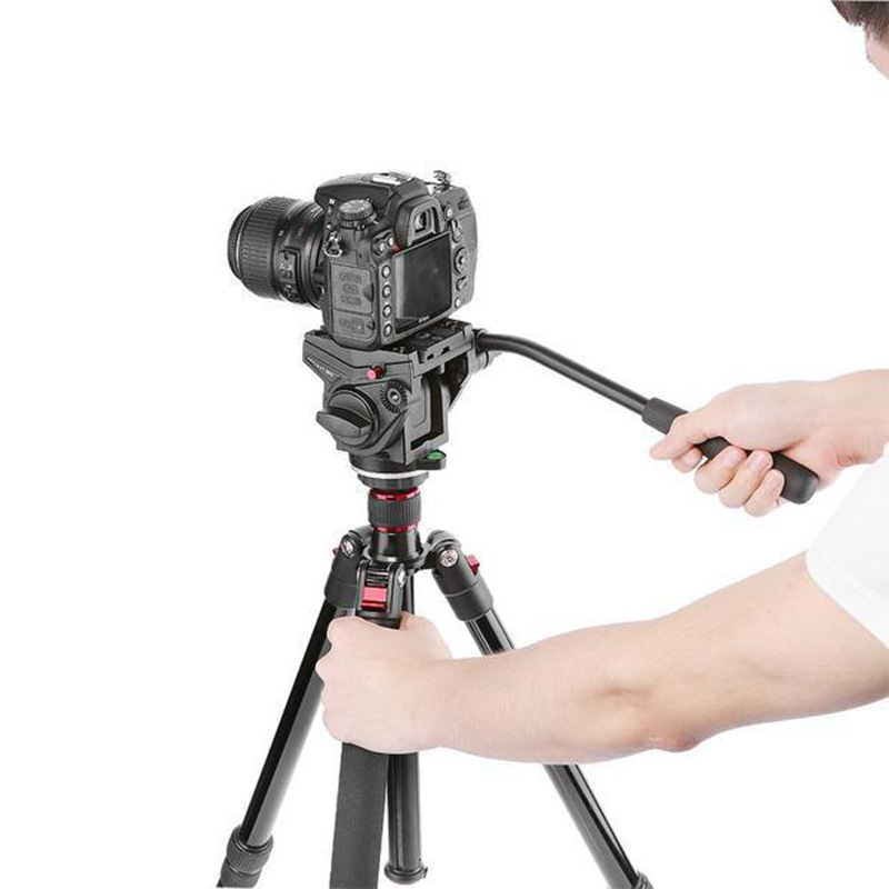กล้องไมโคร SLR ถ่ายภาพ ถ่ายวิด - Photography Translate บทวิจารณ์และราคา
